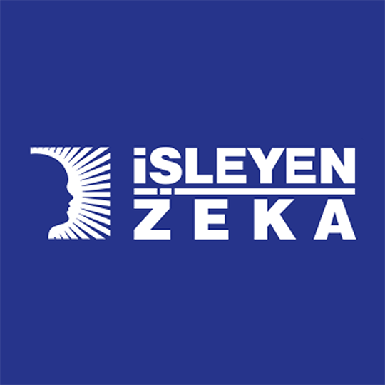 İşleyen Zeka